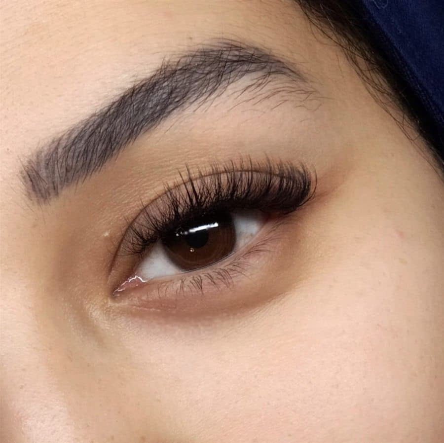 Classic Lashes