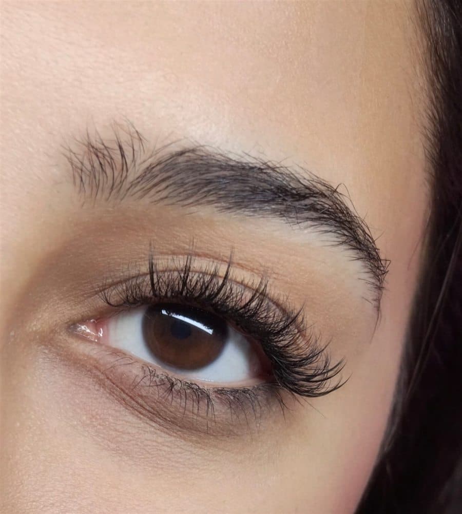 Volume Lashes